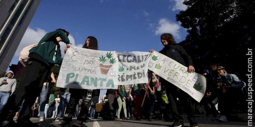 Lula diz que ciência deve decidir sobre uso de maconha Lula diz que ciência deve decidir sobre uso de maconha
