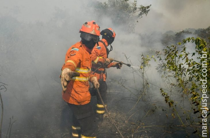 Luta dos Bombeiros contra o fogo no Pantanal é contínua e emociona quem é salvo das chamas Luta dos Bombeiros contra o fogo no Pantanal é contínua e emociona quem é salvo das chamas
