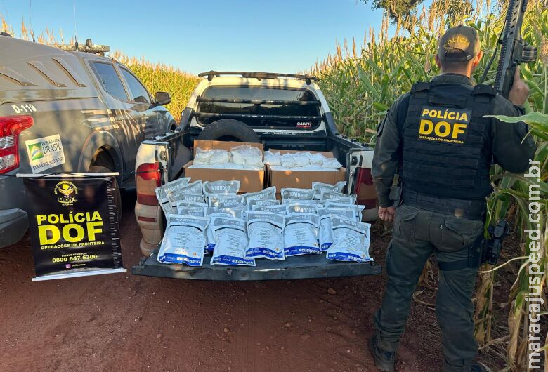 Mais de R$ 100 mil em defensivos agrícolas contrabandeados são apreendidos na fronteira Mais de R$ 100 mil em defensivos agrícolas contrabandeados são apreendidos na fronteira