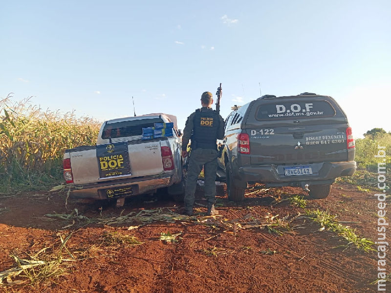 Maracaju: Camionete com placas falsas e maconha é apreendida pelo DOF Maracaju: Camionete com placas falsas e maconha é apreendida pelo DOF