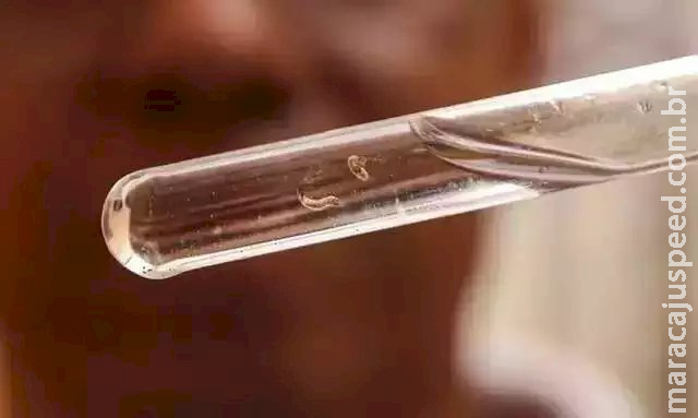 MS chega a 20 mil casos prováveis de dengue em semana sem mortes MS chega a 20 mil casos prováveis de dengue em semana sem mortes