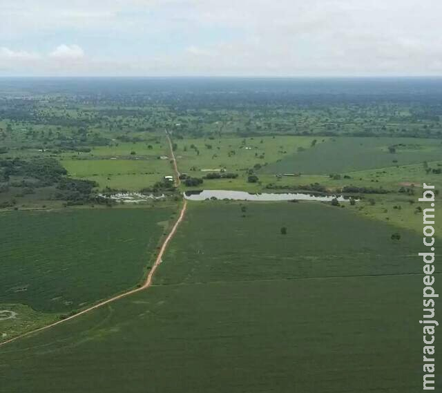 MS contrata temporários para se adequar à Lei do Pantanal MS contrata temporários para se adequar à Lei do Pantanal