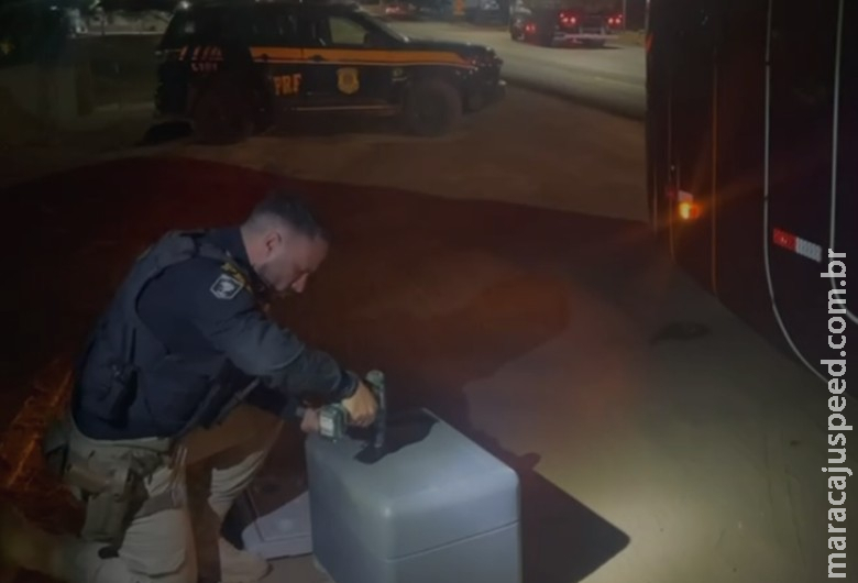 Mulher é presa transportando maconha em caixa térmica dentro de ônibus Mulher é presa transportando maconha em caixa térmica dentro de ônibus