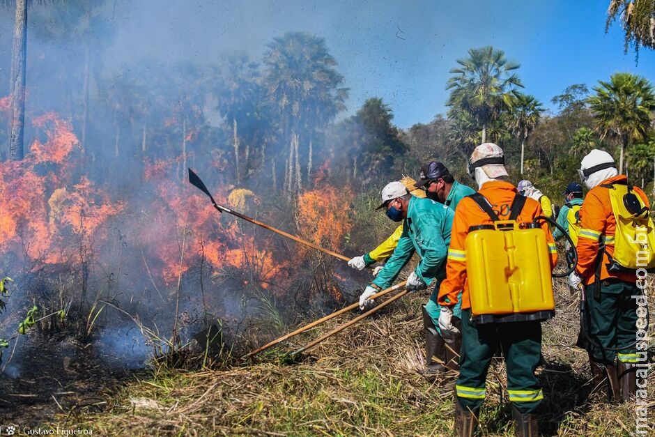 Origem de incêndios no Pantanal precisa ser investigada, alerta SOS Pantanal Origem de incêndios no Pantanal precisa ser investigada, alerta SOS Pantanal