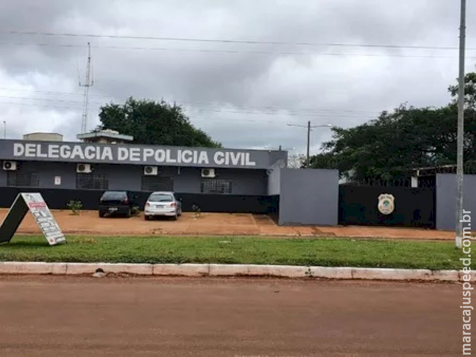 Pitbull com sinais de maus-tratos mata gato e caso vai parar na polícia Pitbull com sinais de maus-tratos mata gato e caso vai parar na polícia