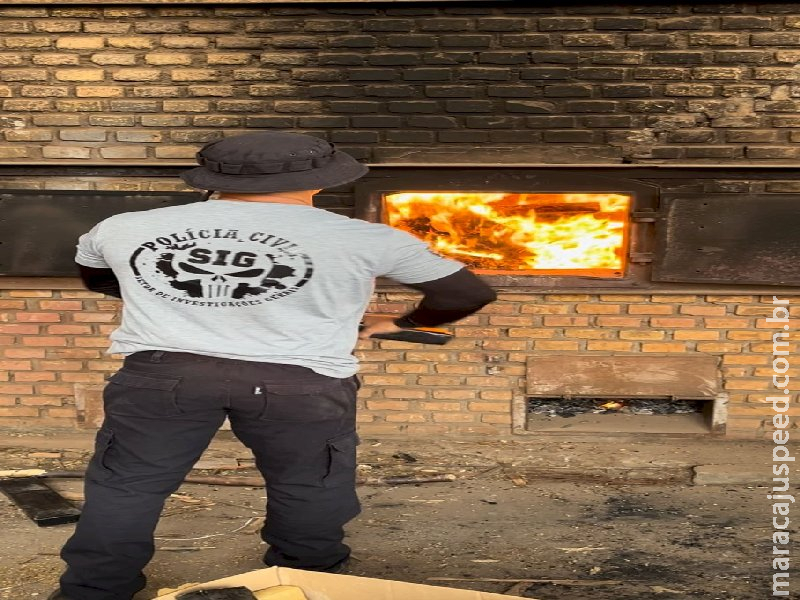 Polícia civil de Vicentina e Fátima do Sul incineram mais de 1 tonelada de entorpecente Polícia civil de Vicentina e Fátima do Sul incineram mais de 1 tonelada de entorpecente