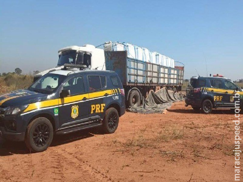 PRF apreende 183 Kg de cocaína e 90 Kg de maconha em MS PRF apreende 183 Kg de cocaína e 90 Kg de maconha em MS