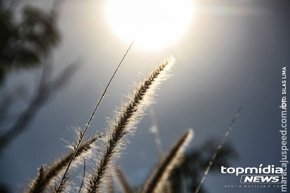 Semana começa seca, com sol e sem previsão de chuvas nesta segunda em MS Semana começa seca, com sol e sem previsão de chuvas nesta segunda em MS