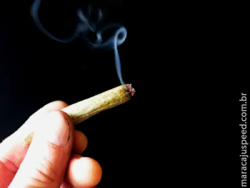 STF julga na terça a descriminalização do porte de maconha
