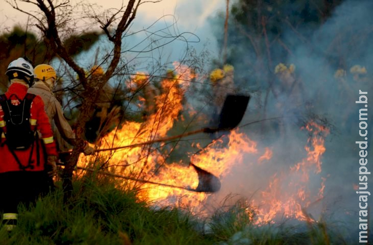 Treinamento de combate ao fogo qualifica novos soldados dos Bombeiros para atuar em incêndios florestais Treinamento de combate ao fogo qualifica novos soldados dos Bombeiros para atuar em incêndios florestais
