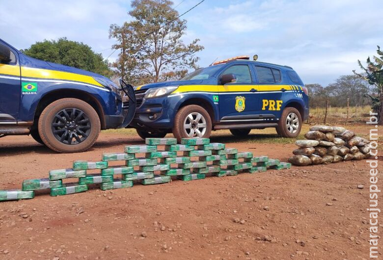 Cocaína e maconha são apreendidas em pneus de caminhão Cocaína e maconha são apreendidas em pneus de caminhão