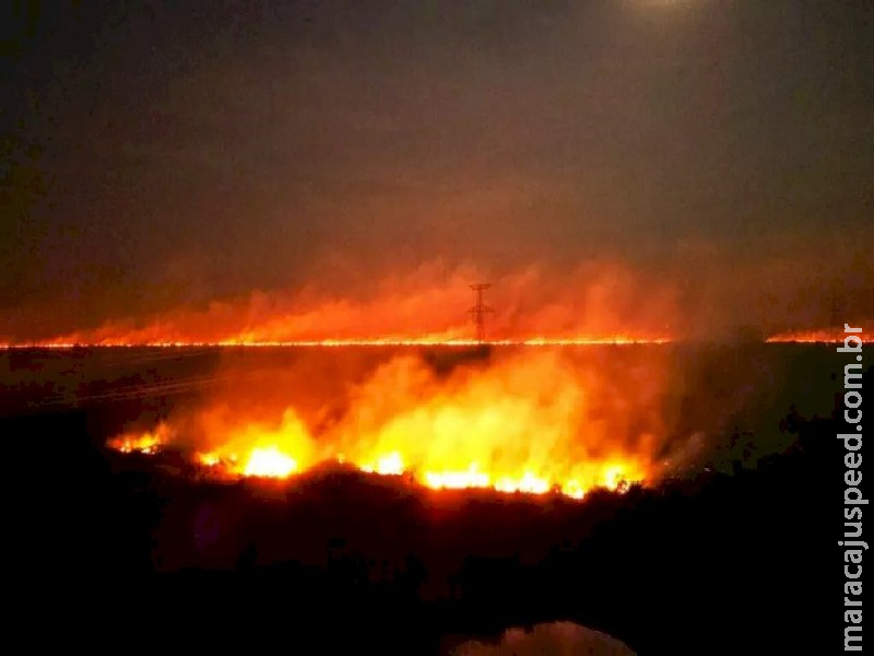 MS lidera ranking de queimadas no Brasil enquanto Pantanal enfrenta pior seca em 70 anos MS lidera ranking de queimadas no Brasil enquanto Pantanal enfrenta pior seca em 70 anos
