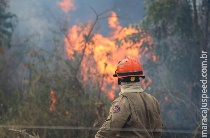 Operação Pantanal: bombeiros do MS lutam para conter grandes chamas na região do Nabileque Operação Pantanal: bombeiros do MS lutam para conter grandes chamas na região do Nabileque