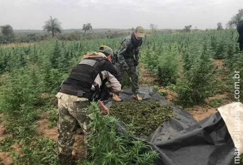 Agência antidrogas inicia 2ª fase de ações contra traficantes