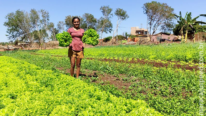 Agraer comemora aprovação de projetos voltados para a agricultura familiar