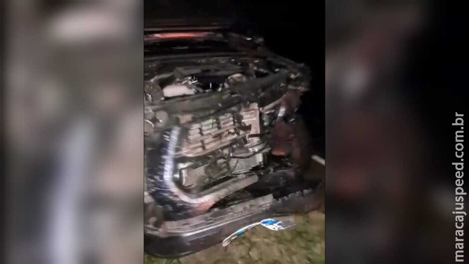 Anta é atropelada e caminhonete fica com a frente destruída na BR-060, em Jardim Anta é atropelada e caminhonete fica com a frente destruída na BR-060, em Jardim