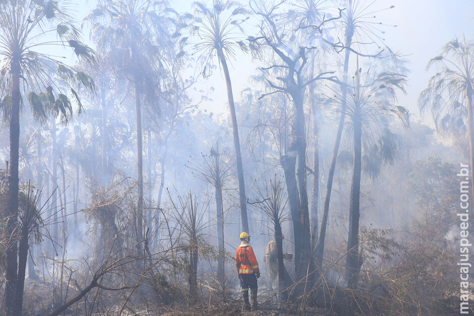 Após 101 dias de operação, Governo de MS anuncia fim dos focos de incêndios no Pantanal Após 101 dias de operação, Governo de MS anuncia fim dos focos de incêndios no Pantanal