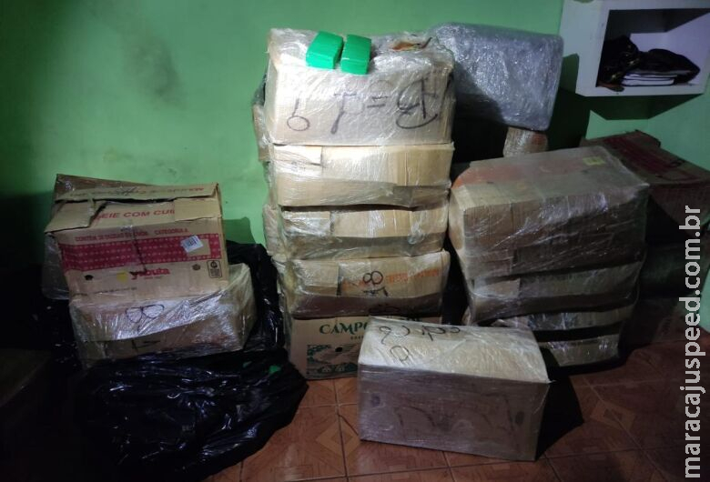 Casal responsável por entreposto de drogas protegido por pitbull Casal responsável por entreposto de drogas protegido por pitbull