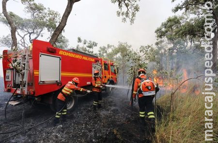 Combate aos incêndios florestais no Pantanal conta com ‘reforço’ de garoa e queda na temperatura Combate aos incêndios florestais no Pantanal conta com ‘reforço’ de garoa e queda na temperatura