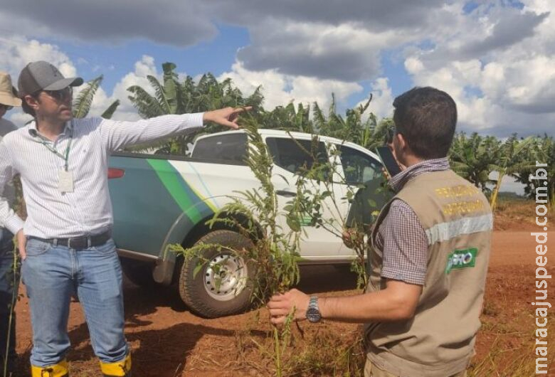 Concurso do Iagro segue com inscrições abertas em MS Concurso do Iagro segue com inscrições abertas em MS