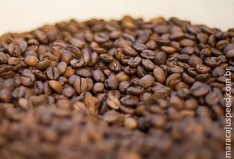 Conheça os elementos que tornam o café torrado impróprio para consumo Conheça os elementos que tornam o café torrado impróprio para consumo