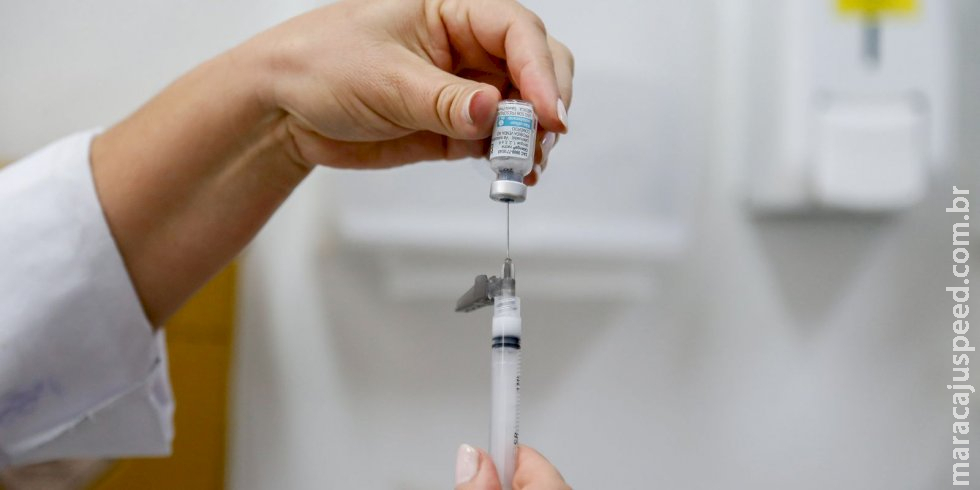 Dengue: Brasil tem, em 6 meses, 6,1 milhões de casos e 4,2 mil mortes Dengue: Brasil tem, em 6 meses, 6,1 milhões de casos e 4,2 mil mortes