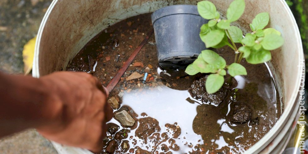 Dengue: Saúde encerra atividades do Centro de Operações em Emergência Dengue: Saúde encerra atividades do Centro de Operações em Emergência