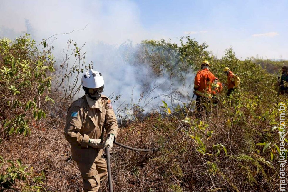 Estado receberá 40 bombeiros de três estados para ajudar a combater incêndios no Pantanal Estado receberá 40 bombeiros de três estados para ajudar a combater incêndios no Pantanal