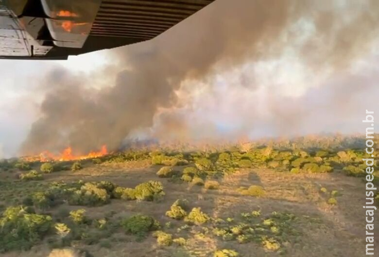 Explosão de caminhão causa incêndio que já dura dois dias no Pantanal Explosão de caminhão causa incêndio que já dura dois dias no Pantanal