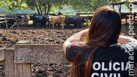 Fazenda Água Clara sofre tentativa de furto com disparos em Sidrolândia Fazenda Água Clara sofre tentativa de furto com disparos em Sidrolândia