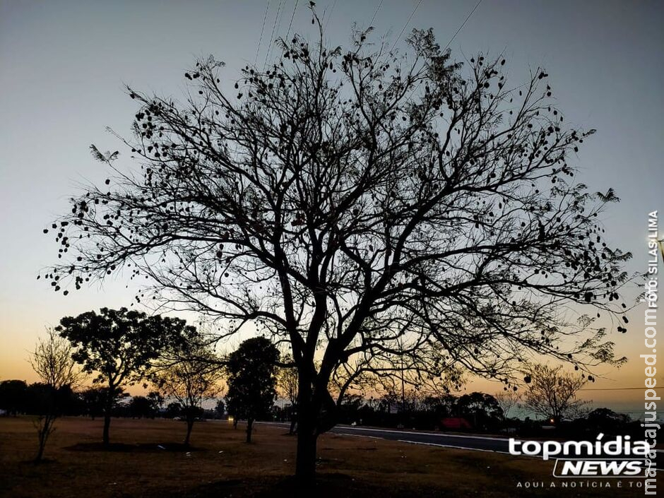 Frente fria reduz temperaturas, mas calor já deve voltar em MS Frente fria reduz temperaturas, mas calor já deve voltar em MS