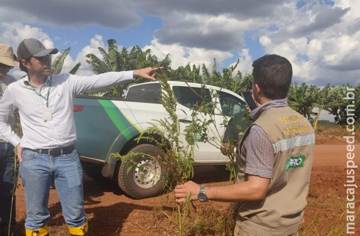 Governo de MS publica abertura de concurso da Iagro com 29 vagas para médico veterinário Governo de MS publica abertura de concurso da Iagro com 29 vagas para médico veterinário