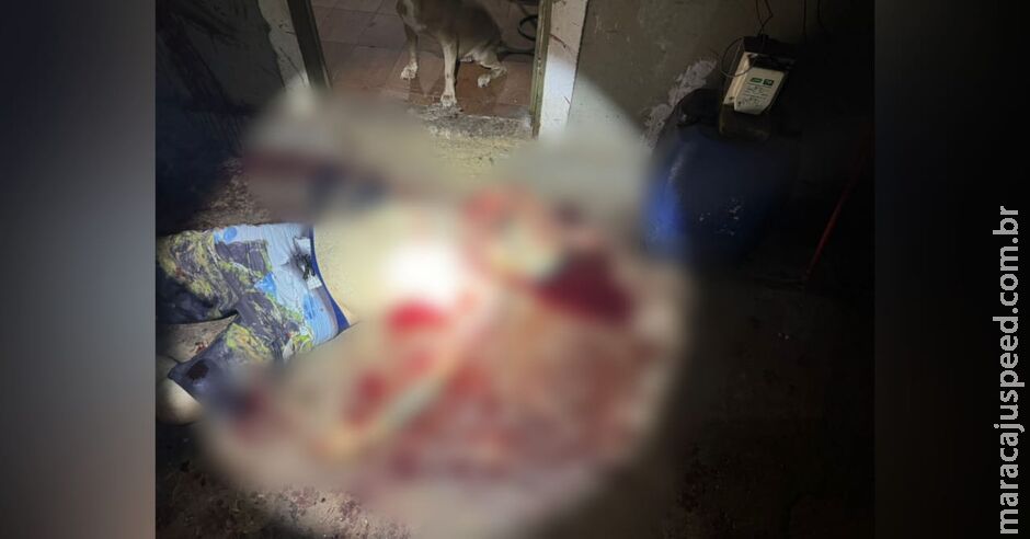Homem é executado com vários tiros nas Moreninhas Homem é executado com vários tiros nas Moreninhas