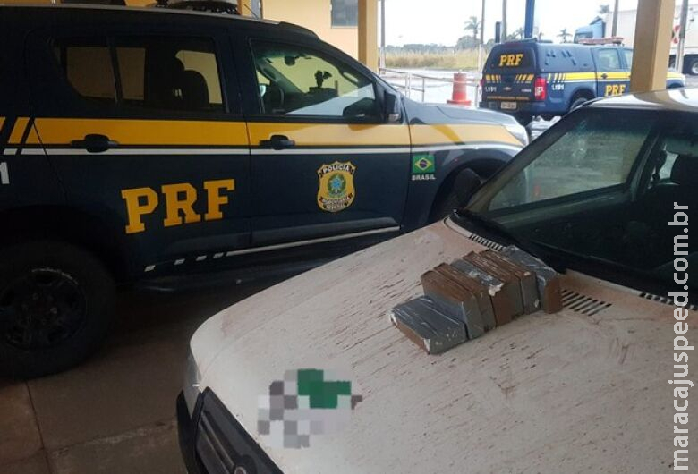 Homem é preso com cocaína escondida em adubo Homem é preso com cocaína escondida em adubo