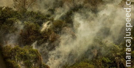 Incêndios podem ter degradado 9% do Pantanal nos últimos cinco anos Incêndios podem ter degradado 9% do Pantanal nos últimos cinco anos