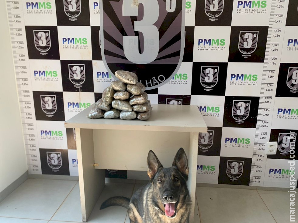 Jovem de 20 anos é presa pela PM por tráfico de drogas em Dourados Jovem de 20 anos é presa pela PM por tráfico de drogas em Dourados