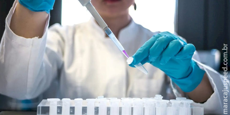 Mais Médicos tem 33 mil inscritos; 10,4 profissionais por vaga Mais Médicos tem 33 mil inscritos; 10,4 profissionais por vaga