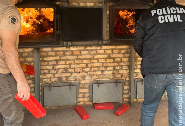 Meia tonelada de maconha é incinerada após apreensões