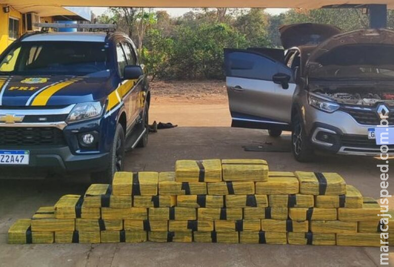 Motorista é preso com quase meia tonelada de maconha após parar veículo às margens de rodovia Motorista é preso com quase meia tonelada de maconha após parar veículo às margens de rodovia