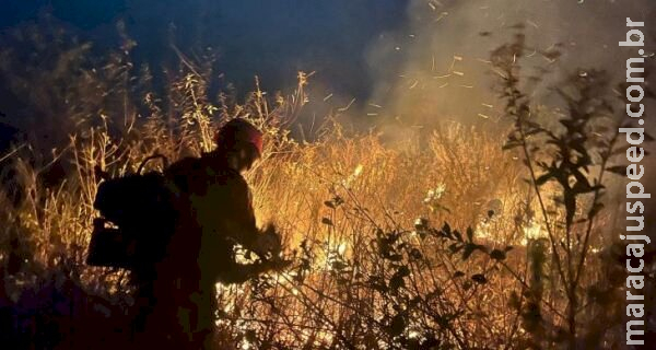 MS chega a período crítico da seca com ação integrada para combater incêndios no Pantanal MS chega a período crítico da seca com ação integrada para combater incêndios no Pantanal