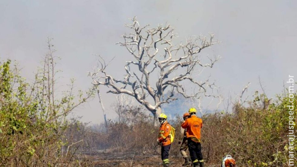 Novo grande incêndio no Pantanal do Porto Maracangalha mobiliza bombeiros Novo grande incêndio no Pantanal do Porto Maracangalha mobiliza bombeiros