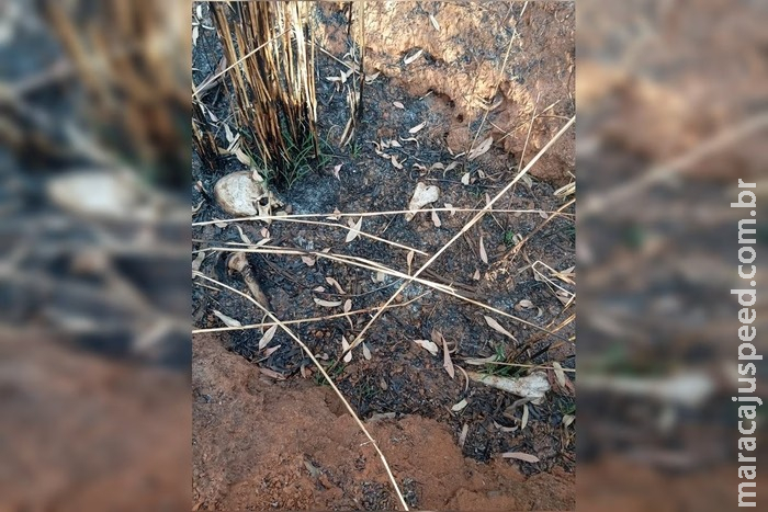 Ossadas humanas são encontradas em regiões de mata no DF Ossadas humanas são encontradas em regiões de mata no DF