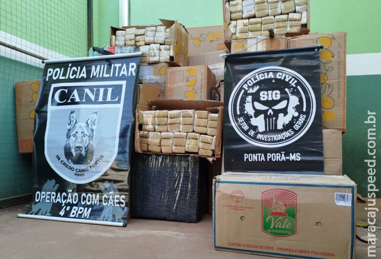 Polícia encontra entreposto com 2t de maconha na região de fronteira Polícia encontra entreposto com 2t de maconha na região de fronteira