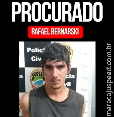 Polícia procura suspeito de matar idoso encontrado em milharal Polícia procura suspeito de matar idoso encontrado em milharal