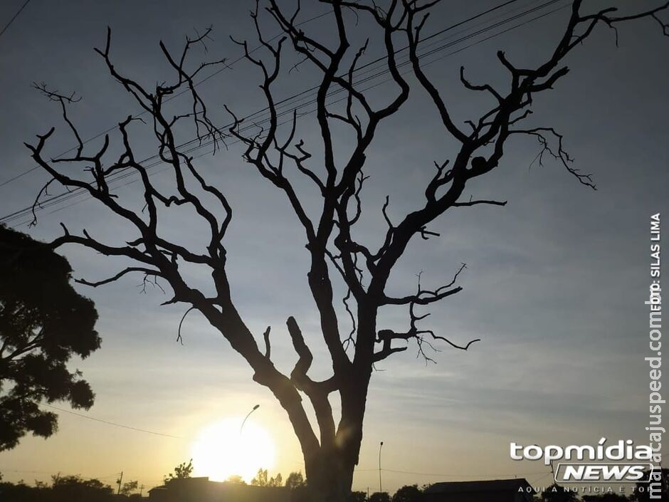 Preparem o umidificador! Fim de semana será seco e com temperaturas de 35°C Preparem o umidificador! Fim de semana será seco e com temperaturas de 35°C