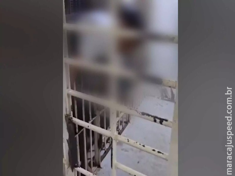 Preso fica ‘entalado’ quando tentava fugir de cela em delegacia de Brasília Preso fica ‘entalado’ quando tentava fugir de cela em delegacia de Brasília