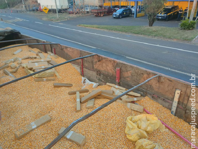 PRF apreende caminhão com 5 toneladas de maconha que saiu de Maracaju, e estava na divisa de SP com PR PRF apreende caminhão com 5 toneladas de maconha que saiu de Maracaju, e estava na divisa de SP com PR