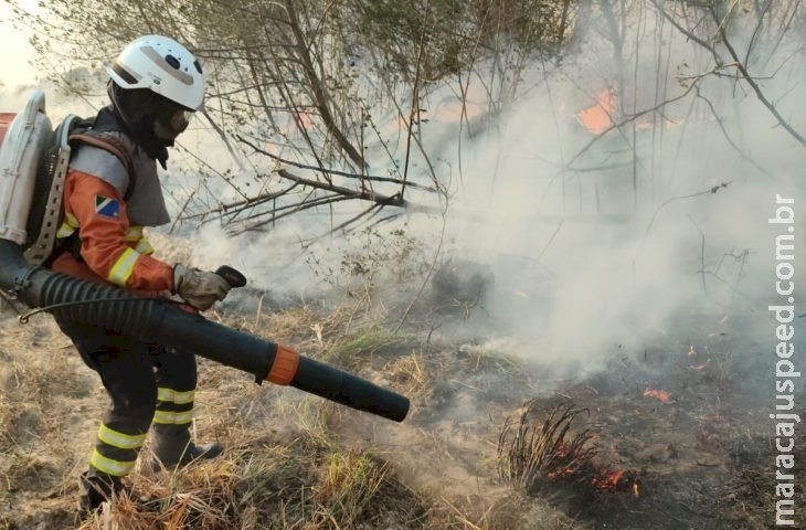 Amor e determinação: mulheres têm papel de destaque no combate aos incêndios no Pantanal Amor e determinação: mulheres têm papel de destaque no combate aos incêndios no Pantanal
