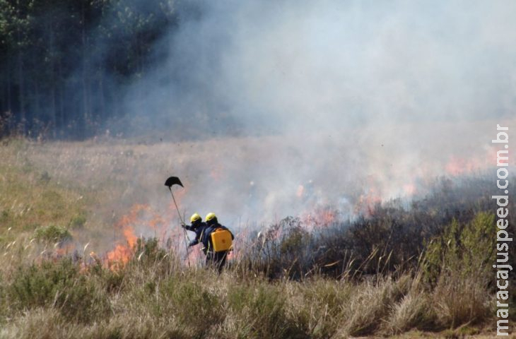 Bombeiros de Santa Catarina também enviam equipe para combate ao fogo no Pantanal Bombeiros de Santa Catarina também enviam equipe para combate ao fogo no Pantanal