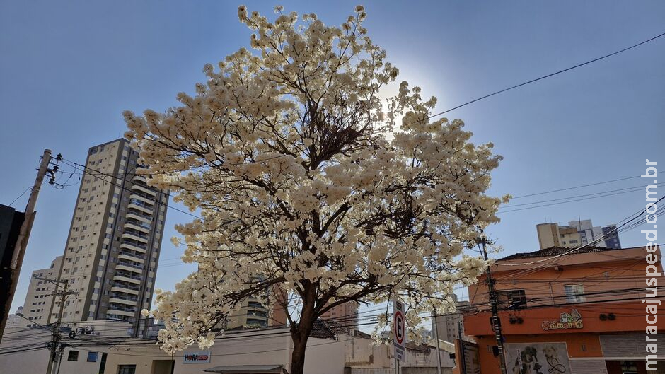 Calorão pode chegar a 41°C nesta quarta em Mato Grosso do Sul Calorão pode chegar a 41°C nesta quarta em Mato Grosso do Sul
